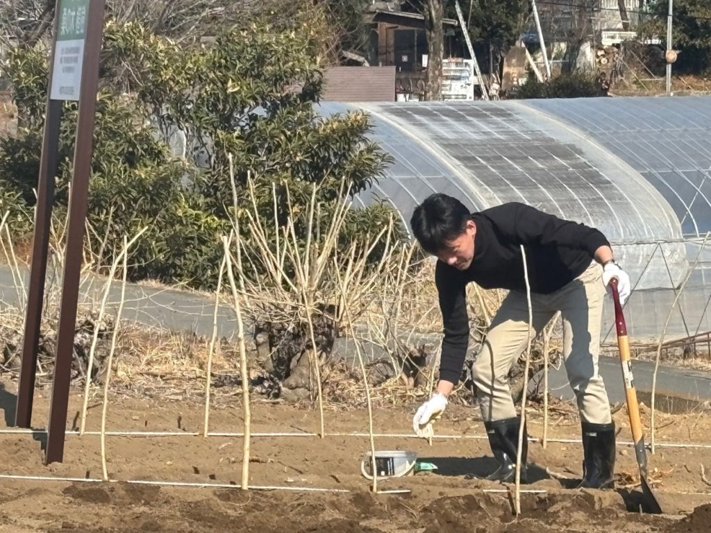 一本の桑の木が振袖になるまで ―― 成人式の着物・絹の物語と樋口屋の願い＠埼玉県鴻巣市「着物振袖の樋口屋」